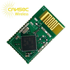Module van het Zigbeecc2652 de Multiprotocol in Gateways