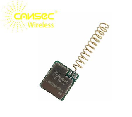 Small Size Lora Communication Module Cansec LRW32BH-HA/UA-C ST-STM32WLE Lorawan Transmission Long Range